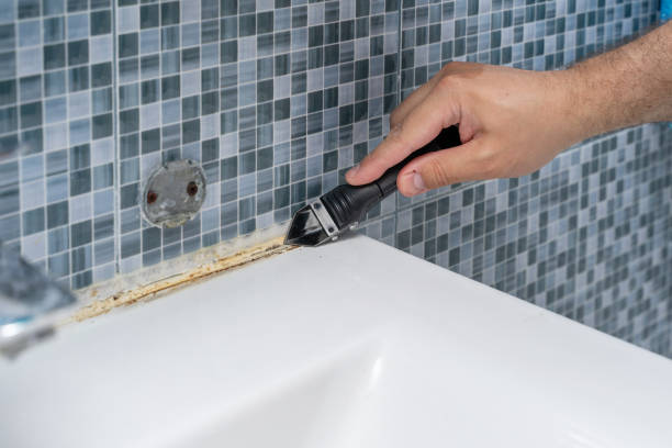 Best Home Mold Removal  in Dothan, AL